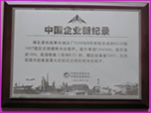 HC25型電動(dòng)葫蘆獲創(chuàng)中國(guó)企業(yè)新紀(jì)錄。